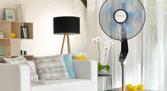 This Rowenta fan benefits from a 23 reduction during the