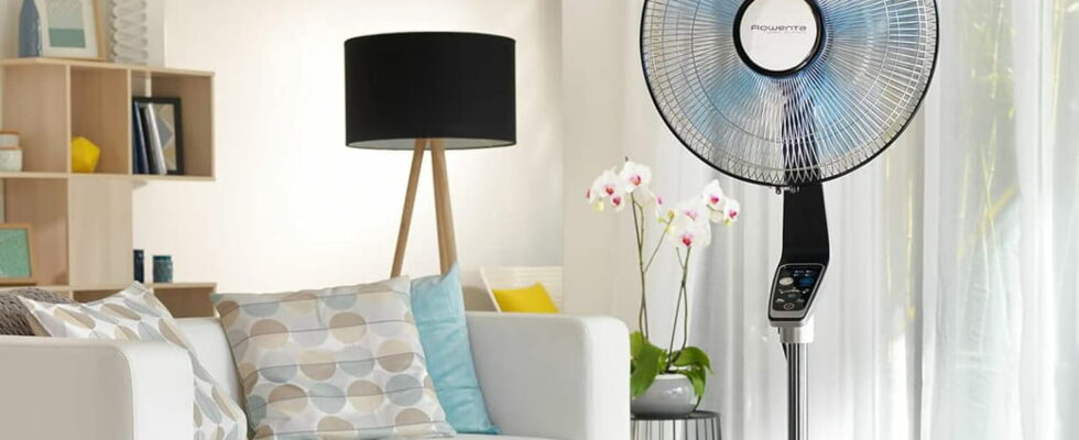 This Rowenta fan benefits from a 23 reduction during the