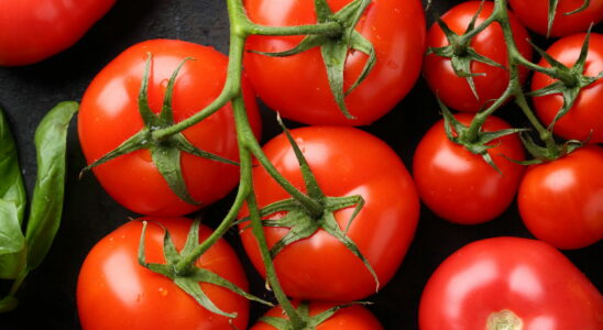 This simple gesture allows you to keep your tomatoes much