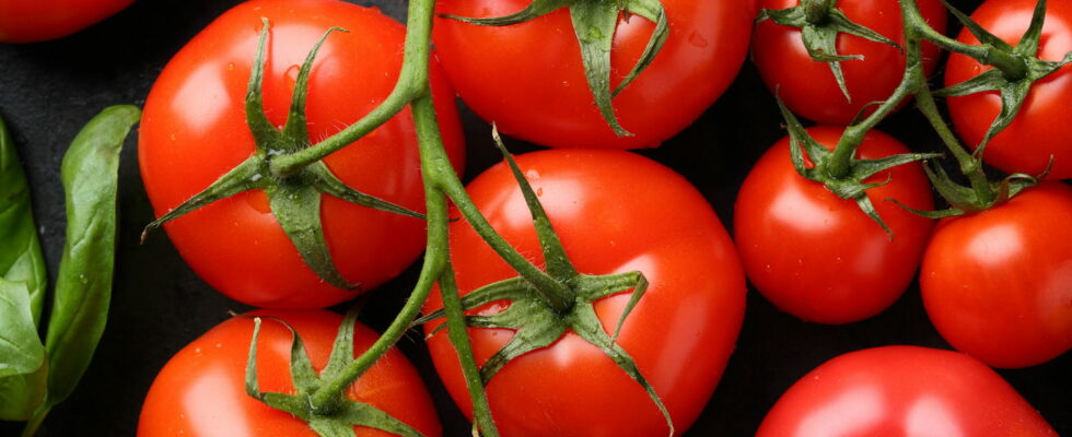 This simple gesture allows you to keep your tomatoes much