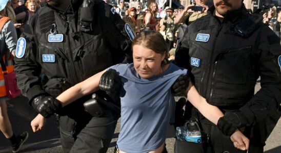 Thunberg was taken away by the police