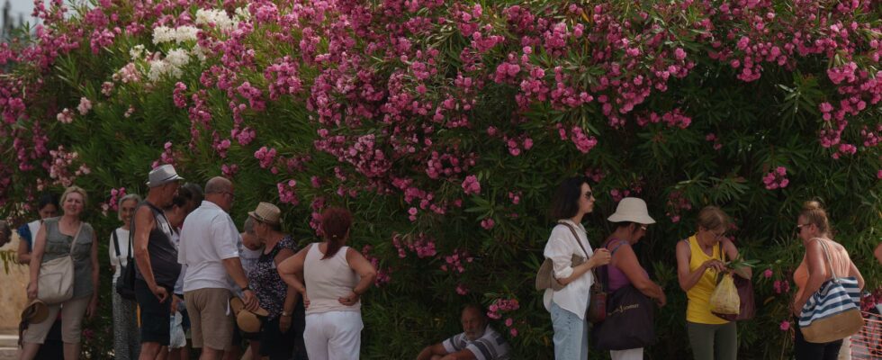 Tourists dead in the heat of Greece