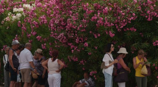 Tourists missing in hot Greece