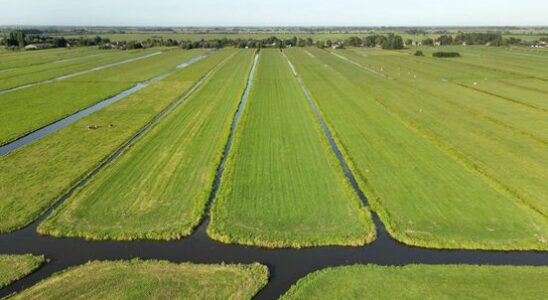 Utrecht will receive 249 million euros to improve nature