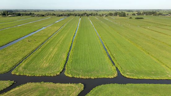 Utrecht will receive 249 million euros to improve nature