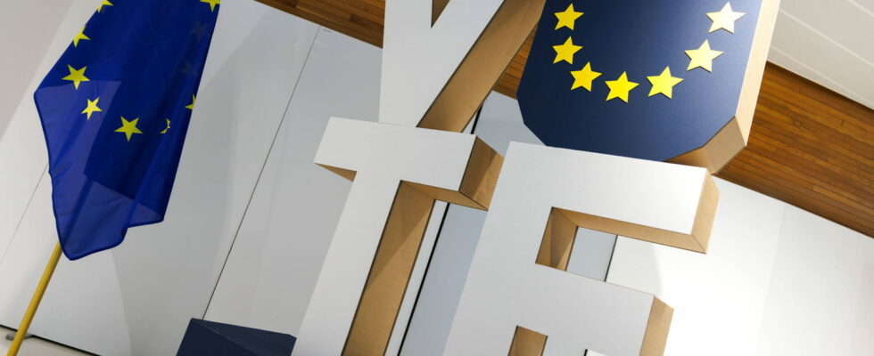 What turnout can we expect in the European elections