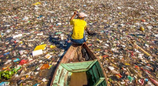 Which countries are most likely to eat microplastics