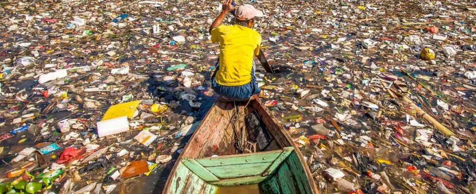 Which countries are most likely to eat microplastics