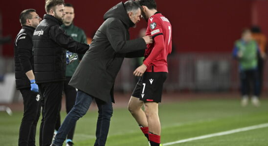 Why and since when did Willy Sagnol become Georgia coach