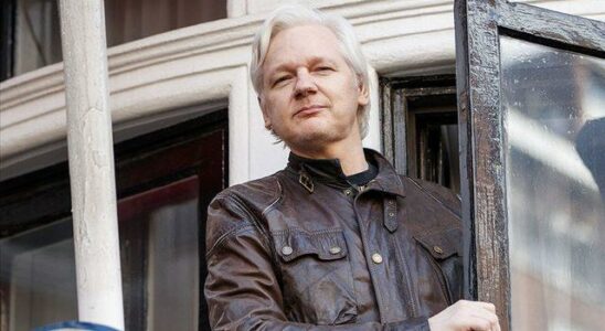 WikiLeaks founder Julian Assange pleaded guilty to espionage