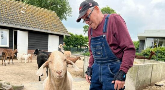 Willem 78 maintains the animal pasture in IJsselstein on his