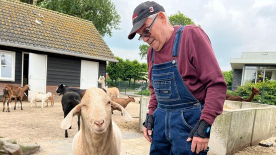 Willem 78 maintains the animal pasture in IJsselstein on his