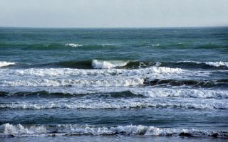 World Oceans Day Mediterranean Sea climate change hotspot the WWF