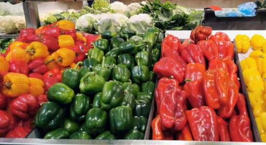 Yellow red or green which pepper to choose One of