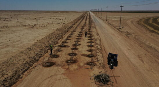 desertification aggravates the phenomenon of sandstorms