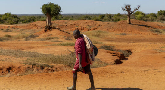 the IMF and the World Bank release their first joint