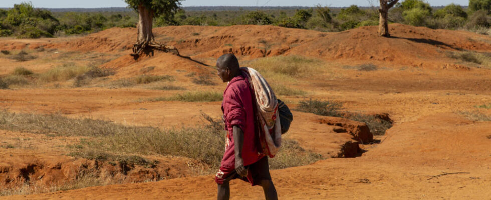 the IMF and the World Bank release their first joint