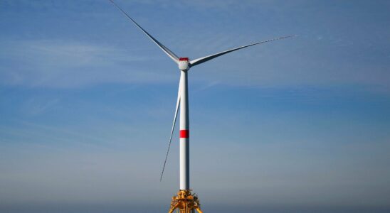 the RN shakes up the wind energy sector – LExpress