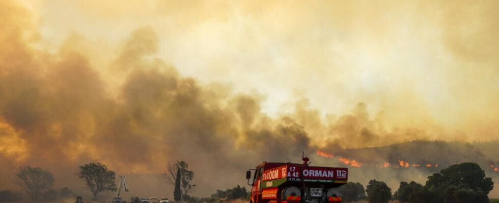 the first forest fires of the season raise fears of