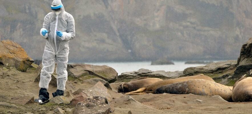 the threat from the sky that worries scientists – LExpress