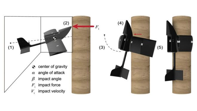 A very interesting drone that can hug trees has been