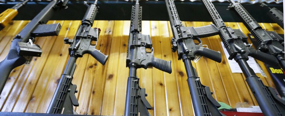 AR 15 assault rifle in Joe Bidens sights – LExpress