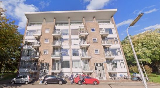 After months moldy apartment is finally cleaned its about health