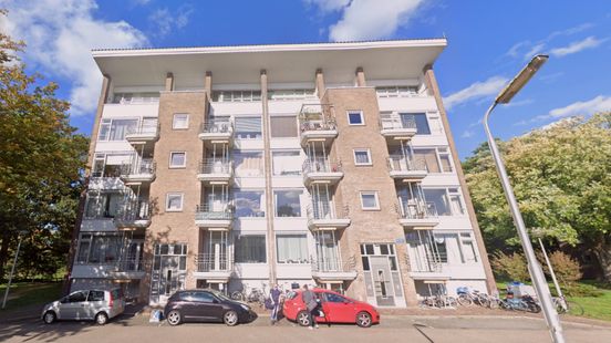 After months moldy apartment is finally cleaned its about health