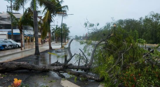 At least ten dead in Hurricane Beryl