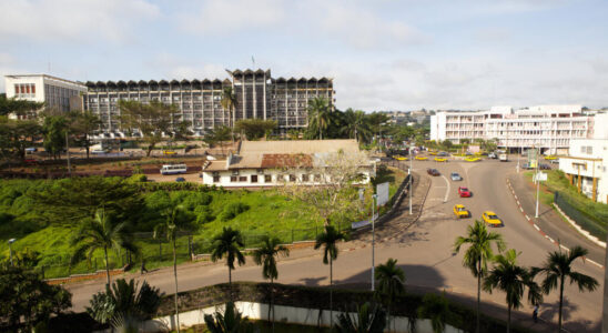 Cameroon arrests young activist after video criticizing authorities