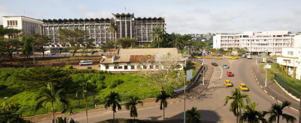 Cameroon arrests young activist after video criticizing authorities