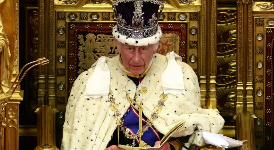 Charles III presents first Labour programme in 15 years –