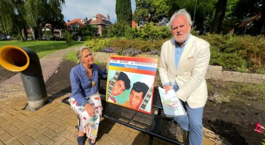 Couple wants statue for diamond sons from Driebergen It would