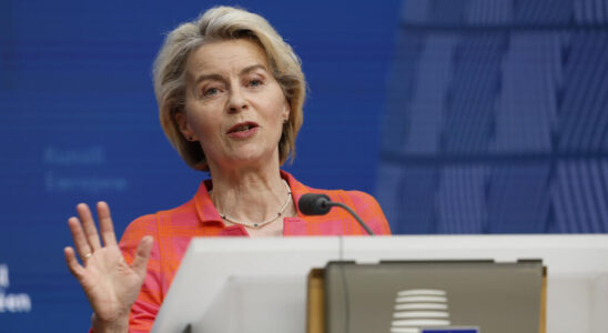 Decisive week for Ursula von der Leyen in the European