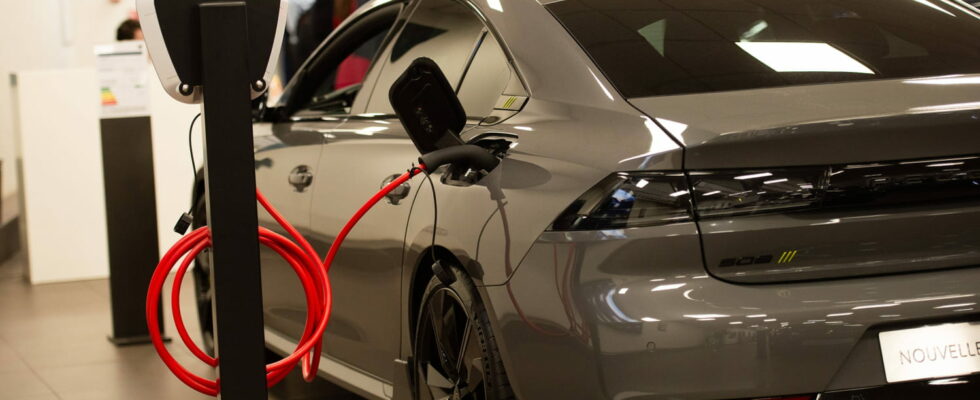 Electric Car Sales Are Plummeting in Europe Heres Whats Replacing