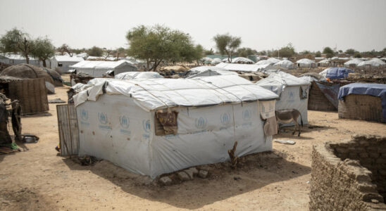 Faced with violence thousands of people take refuge in Niger