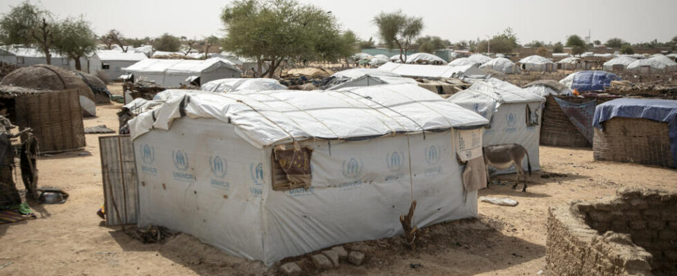 Faced with violence thousands of people take refuge in Niger