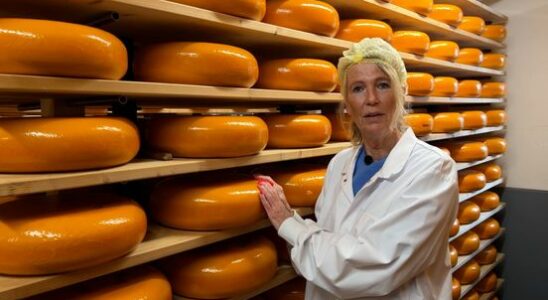 Forget Gouda and Alkmaar the cheese story begins in Woerden