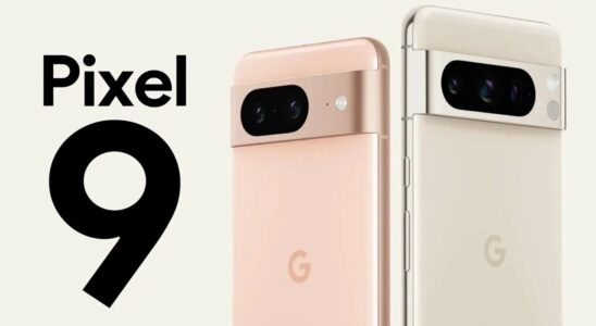 Google Pixel 9 Phone Series Display Specs Leaked