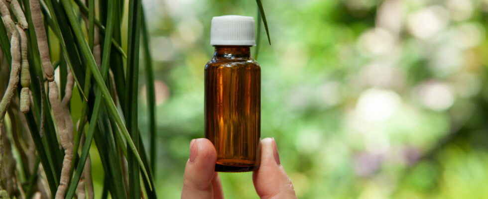 Here is the best essential oil against snoring