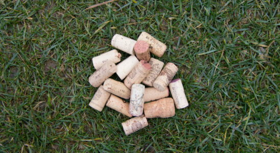 Heres Why Some People Plant Corks In The Garden Its