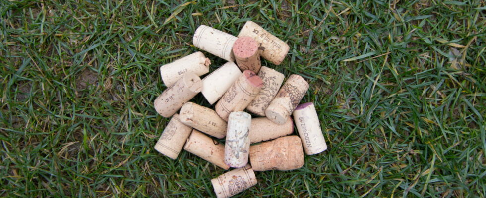 Heres Why Some People Plant Corks In The Garden Its