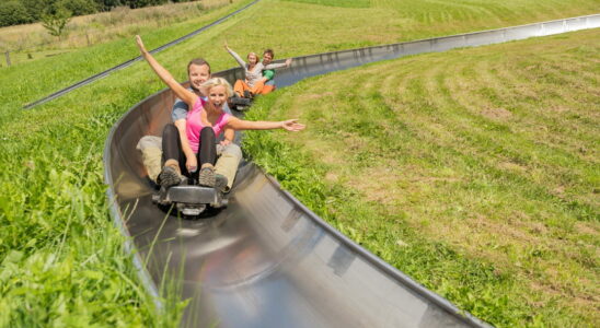 Hitting the slopes on a summer toboggan