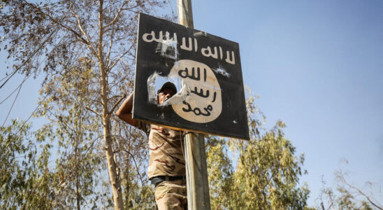 Hundreds of victims of the Islamic State group found in