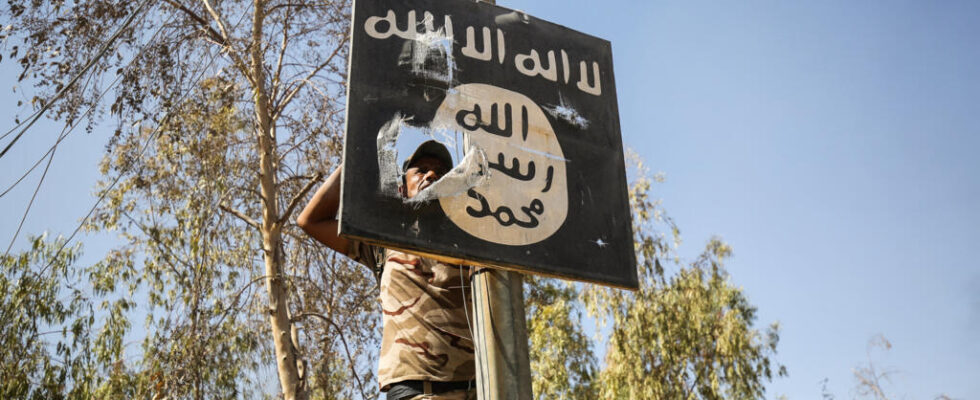 Hundreds of victims of the Islamic State group found in