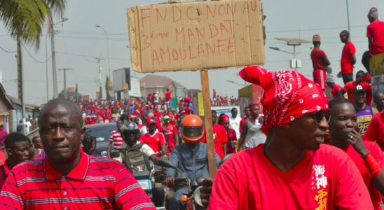 International condemnation after the arrest of activists Fonike Mengue and