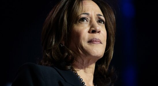 Is Kamala Harris really ready to replace Joe Biden –