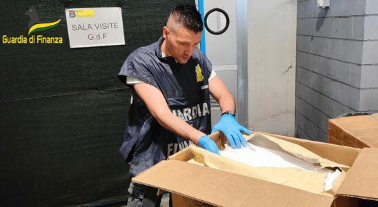 Italy and the Netherlands seize several tons of ecstasy components