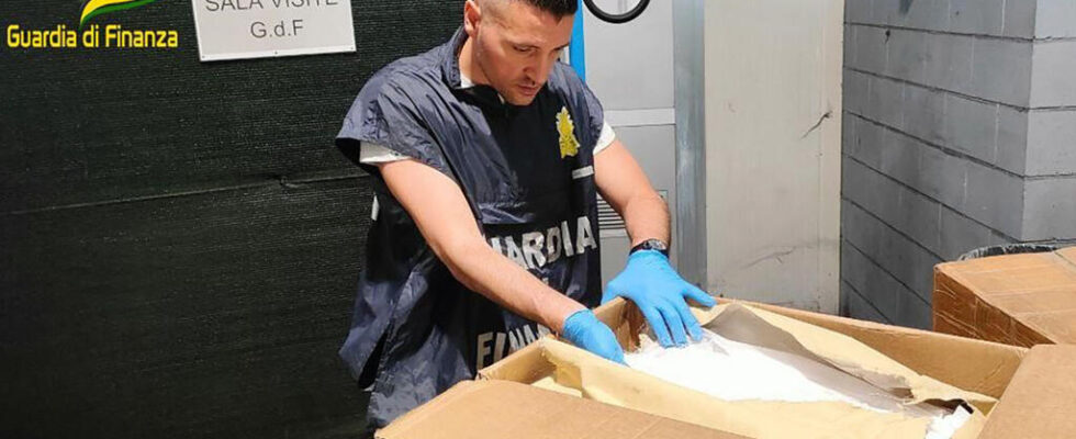 Italy and the Netherlands seize several tons of ecstasy components