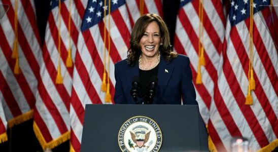 Kamala Harris Promises Red Flag Law at First Election Rally